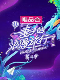 ӵ3VIPӳ
