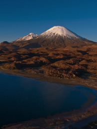 ����Ұ��֮��