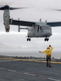 ������ʿս����3��