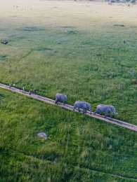 ����Ȼ���ػ���