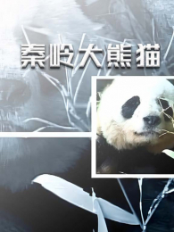 �������è