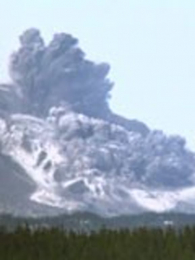 ��Ű������