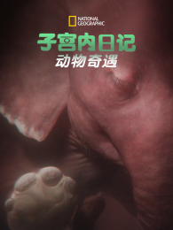 �ӹ����ռǶ���������1��