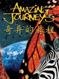 ������ó�