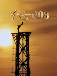 ����603