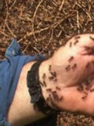 ������˹ɽ�ȵ�����Ԥ��ʦ