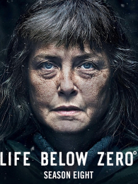 ������µ������8��