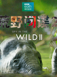 ��Ұ�����2��