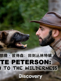 ������˵�ɭ�ط���Ұ