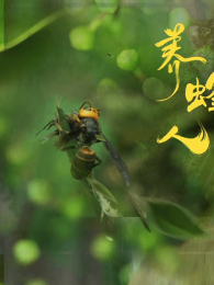 ����ɽ�µķ���