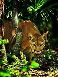 ���־����ð��