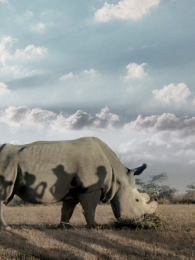 �յ������۱���Ϭ