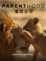 ��������Ӣ�İ�