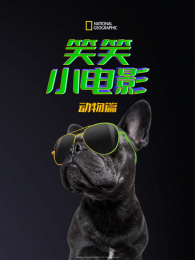 ЦЦС��Ӱ����ƪ