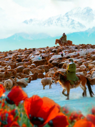 ����Ϊʲô�������Ļ�Ѱ�ü��߽��½�