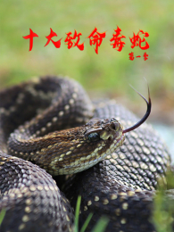 ʮ���������ߵ�1��