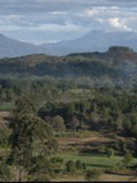 ��ʥ�����