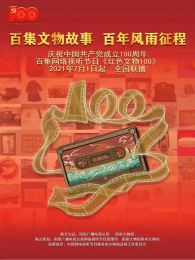 ��ɫ����100