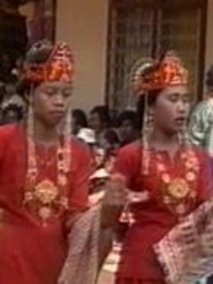 Ϊ������������������