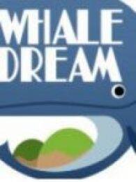 鲸梦原创动画