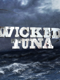 ������������8��