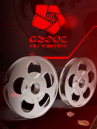 2013�й����ݹ��ʼ�¼Ƭ��