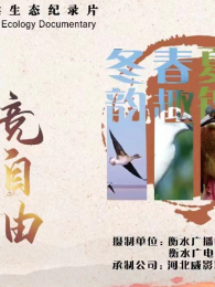 �ļ����������