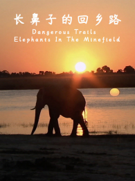 �����ӵĻ���·