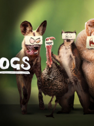 �ϲ�Ӣ�����İ�