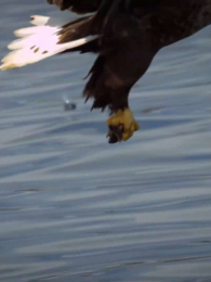 �ٶ�������