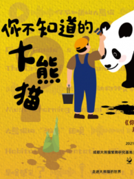 �㲻֪���Ĵ���è