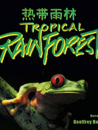 �ȴ�����