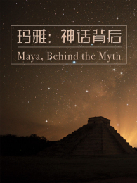 �����񻰱���