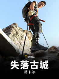 ʧ��ųǵٿ���