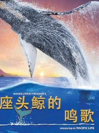 ��ͷ��������