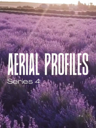 ���µ������4��