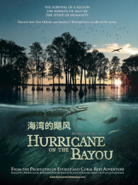 �����쫷�