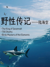 Ұ�Դ��ǡ���½����