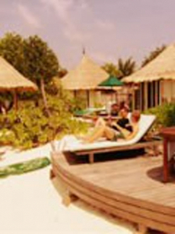 �˼�������������