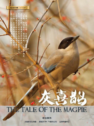 ��ϲȵ����Դ