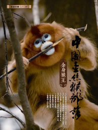 �й���˿�ﲿ��