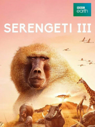 ���׸ǵٵ�3�����İ�