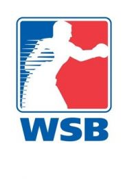 2015WSBȭ