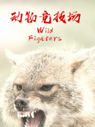 ���ﾺ����