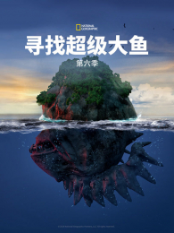 Ѱ�ҳ��������6��