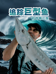 ׷�پ�����ǰ���������3��