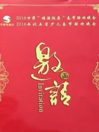 2016Ӵ